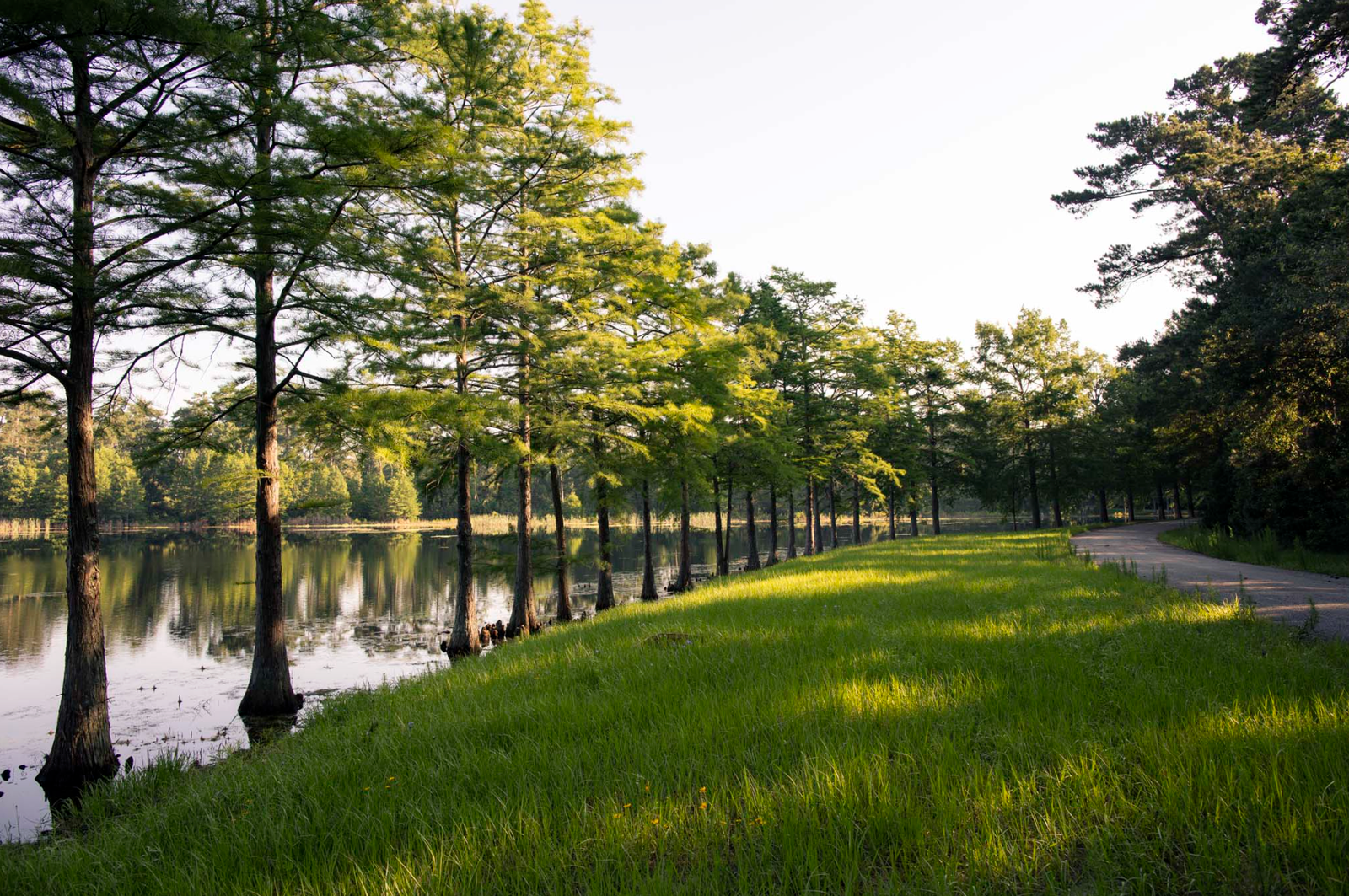 GRAND CENTRAL PARK CONROE TX AMENITIES TRAILS LAKE
